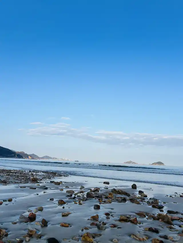 东壁村滩涂