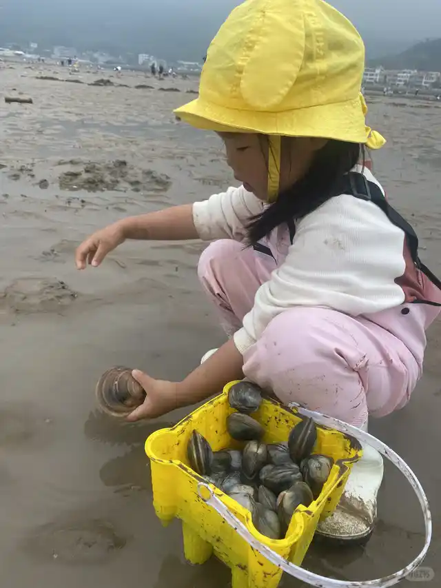 小皓沙滩赶海