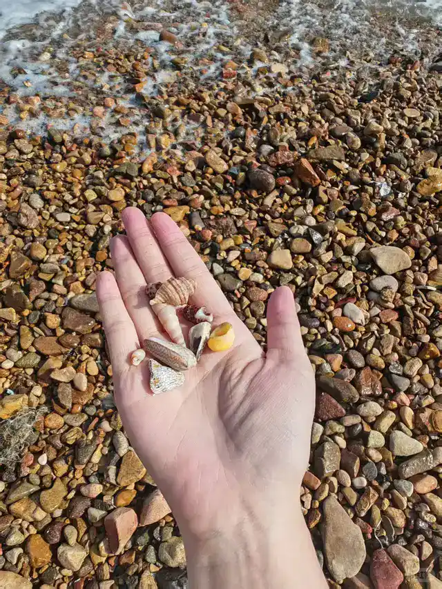 小皓沙滩日落